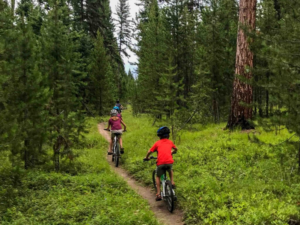 kids biking in forest