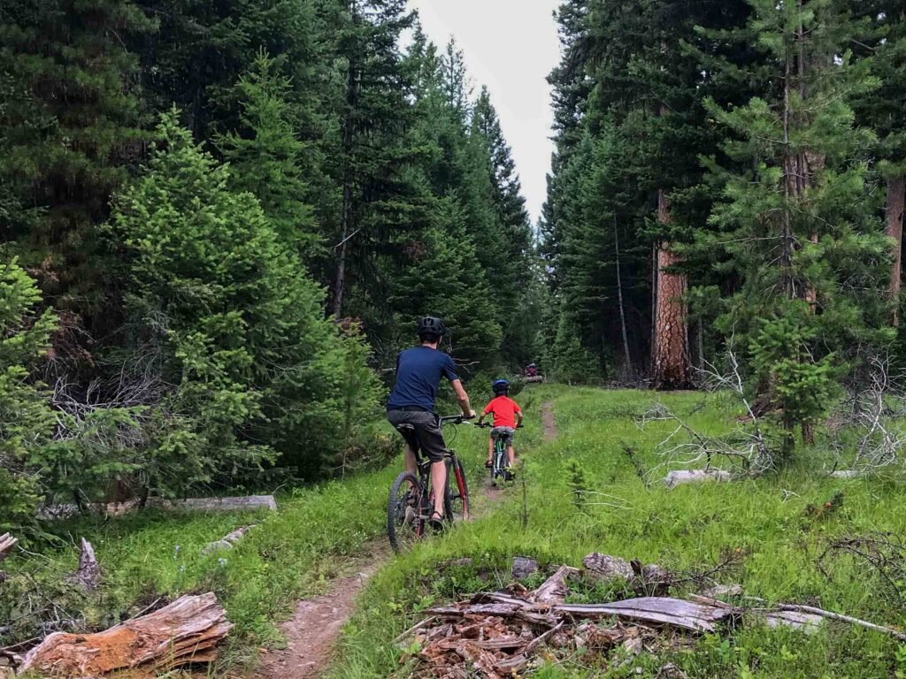 Boy And Dad Biking