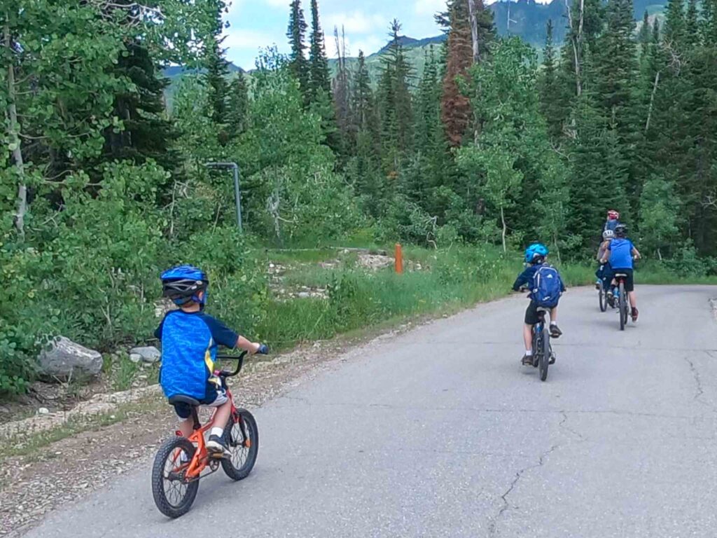 family biking forest